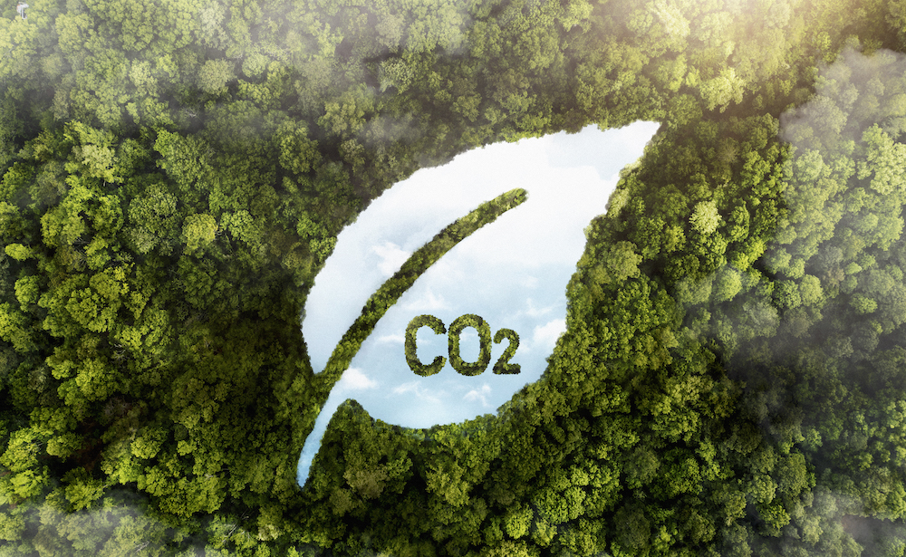 Pöyry realiza inventário de emissões de gases de efeito estufa e cálculo de estoque de carbono de florestas no setor de embalagens de papel 
